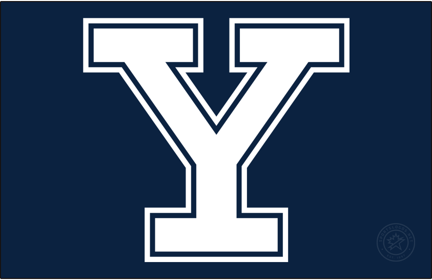 Yale Bulldogs 2019-Pres Primary Dark Logo iron on transfers for T-shirts